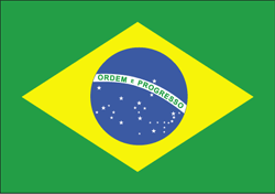 Flag of the Brazil